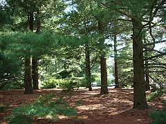 090 Longwood Gardens [2008 August 23]